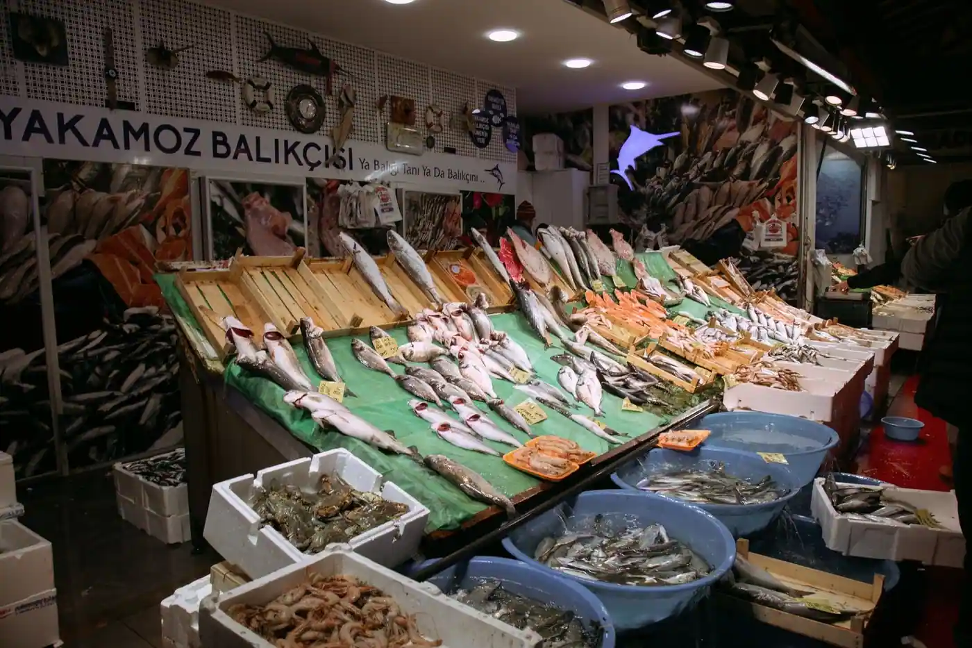 Colourful market display of fresh fish and seafood