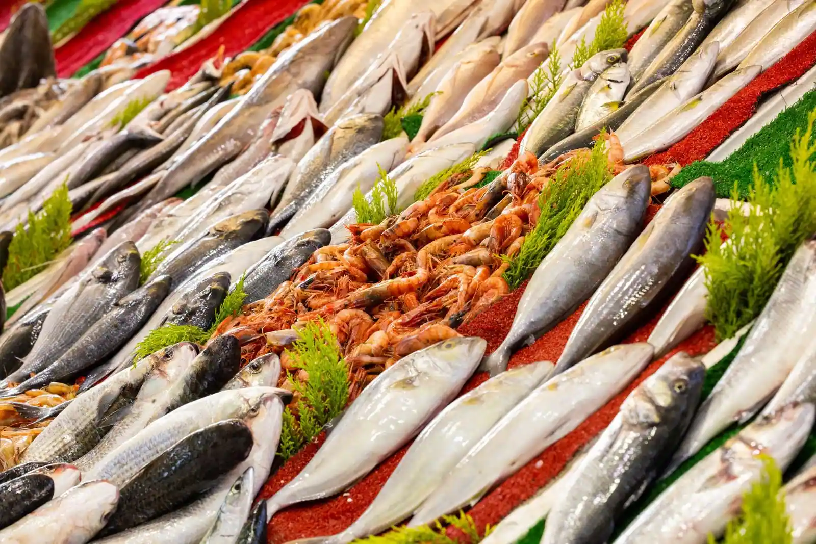 Colorful assortment of fresh fish and shrimp on display at an outdoor market stall