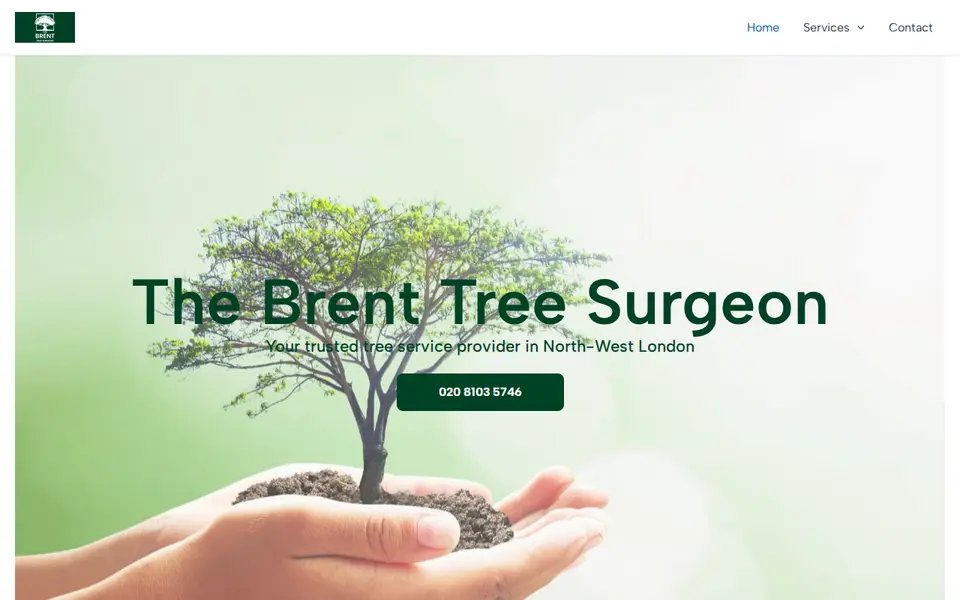 The top of thebrenttreesurgeon.co.uk
