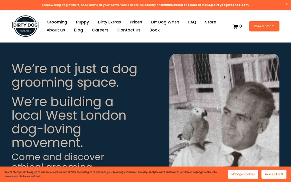 The top of dirtydogwashes.com