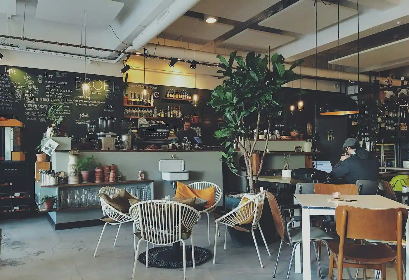 Industrial-style café interior with a chalkboard menu wall, a coffee bar and a tall fiddle-leaf fig