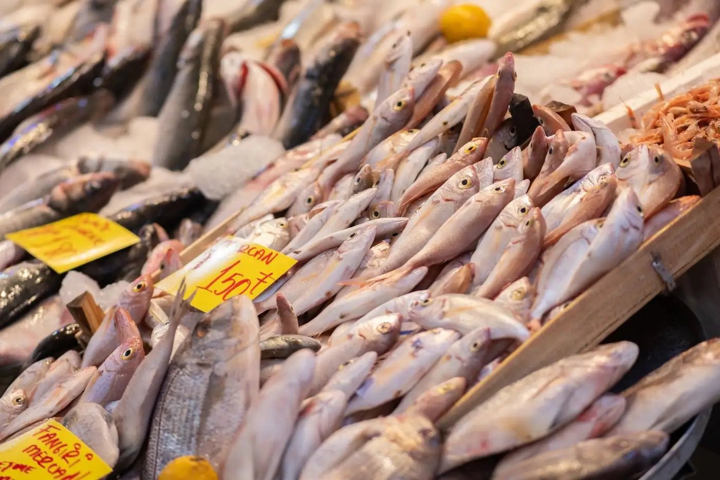A busy fish market with a variety of fresh seafood laid out on ice.