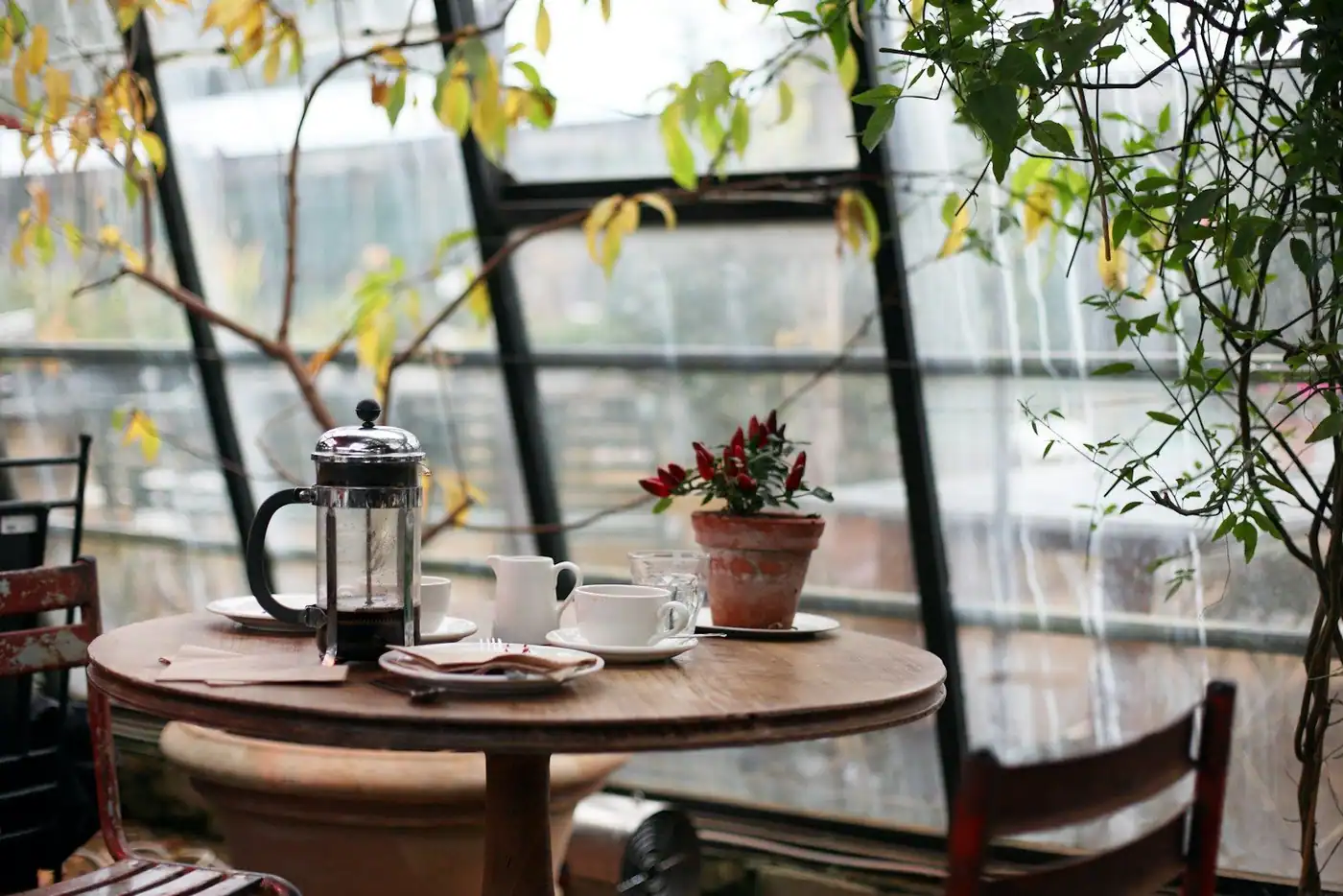 A rustic round wooden table with a French press, cups and a potted chilli plant against a greenhouse-style glass wall