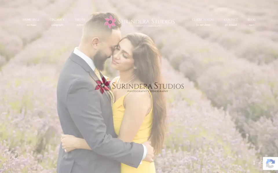The top of surinderastudios.com