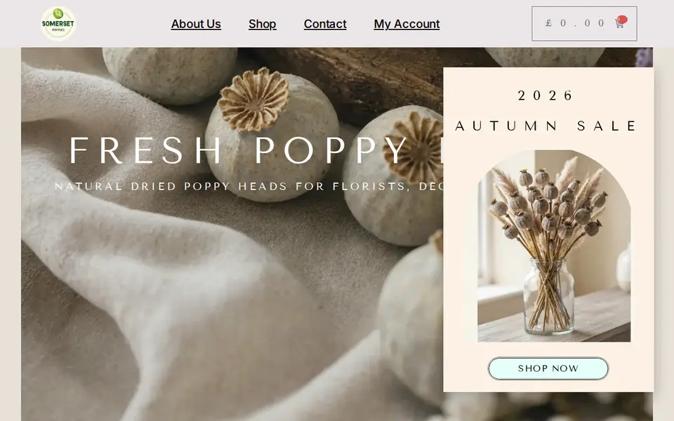 The top of somersetpoppies.com