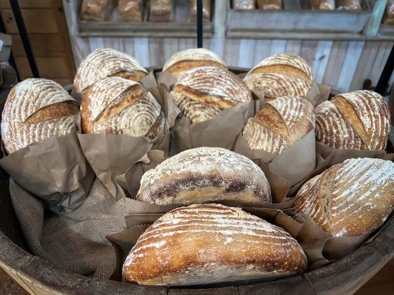 A collection of artisan sourdough loaves displayed in a rustic bakery setting