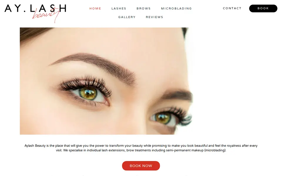 The top of aylashbeauty.com
