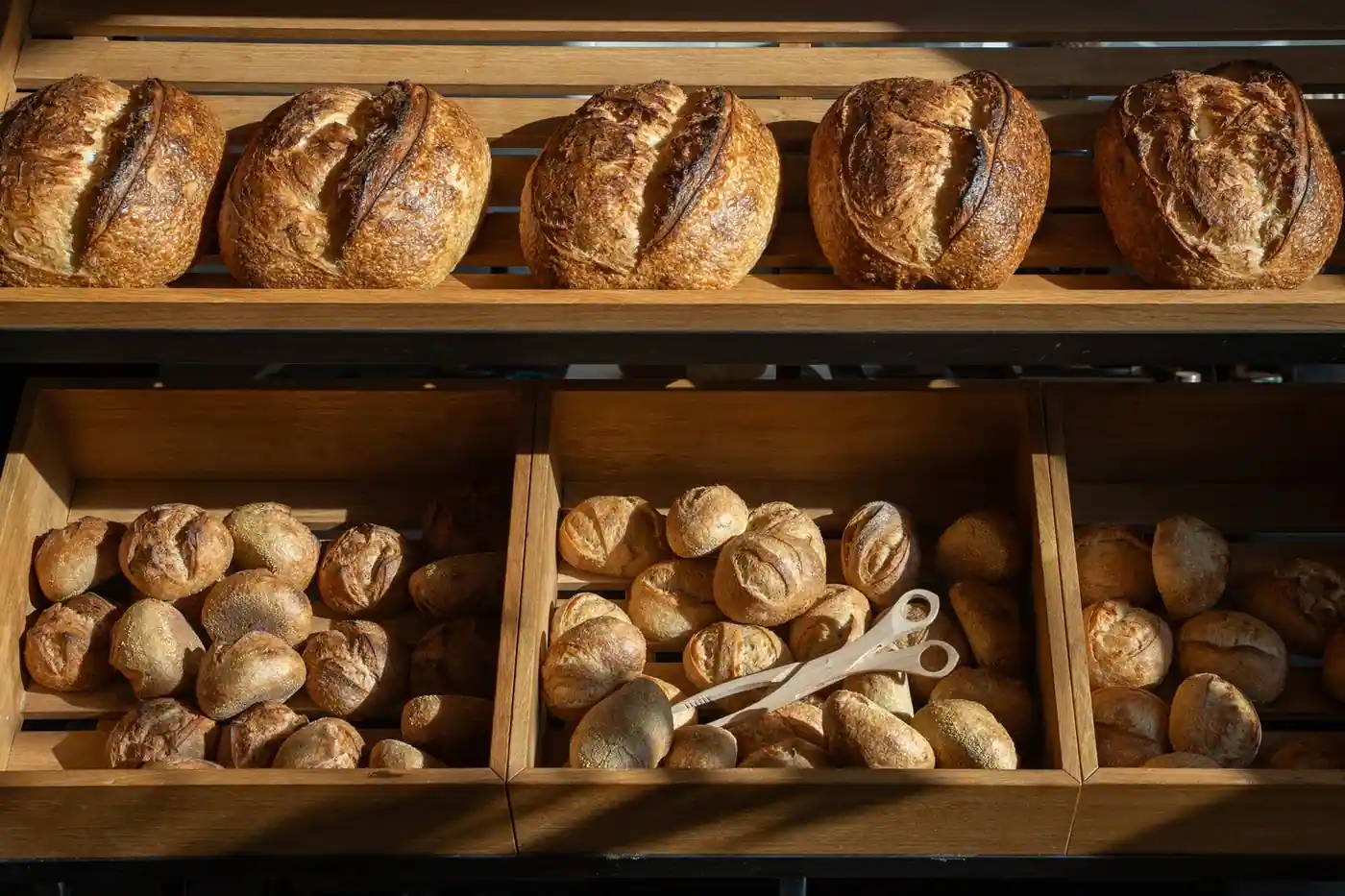 A variety of freshly baked artisan breads on display
