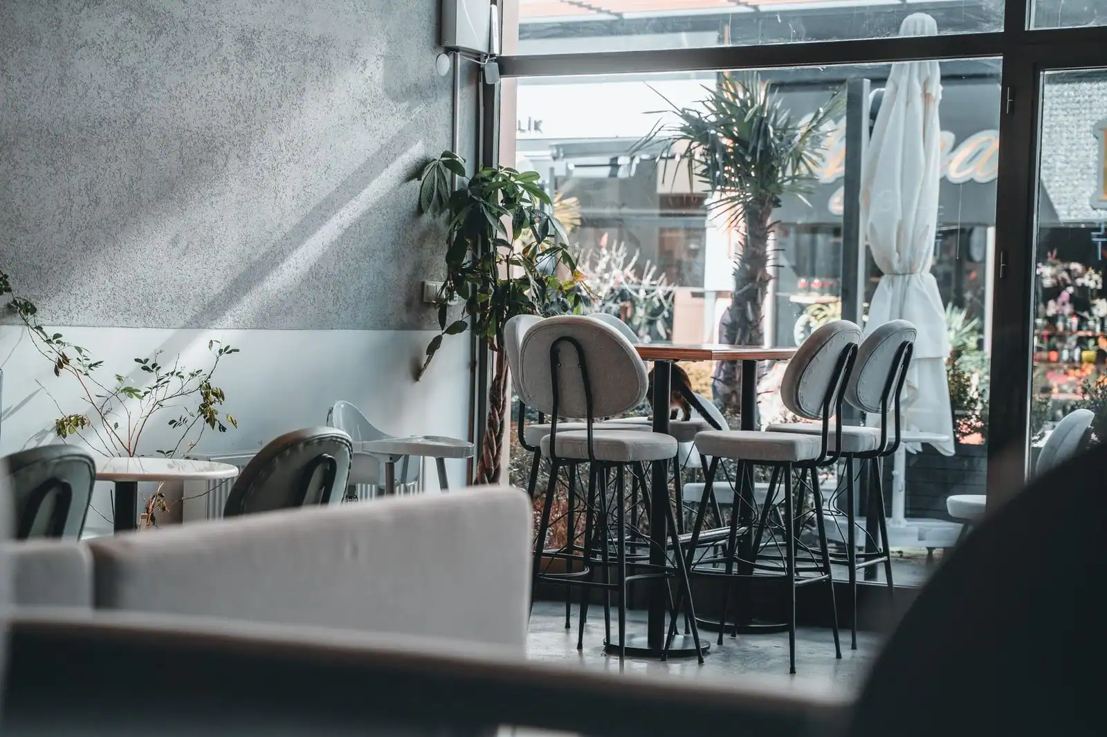 Inviting café interior featuring modern design, natural light, and stylish seating arrangement.