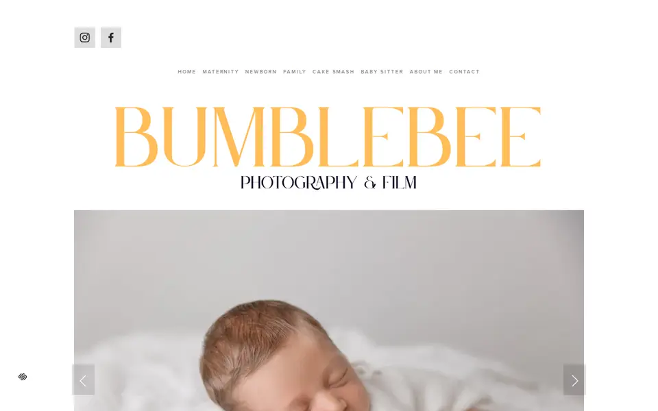 The top of bumblebeephotography.co.uk