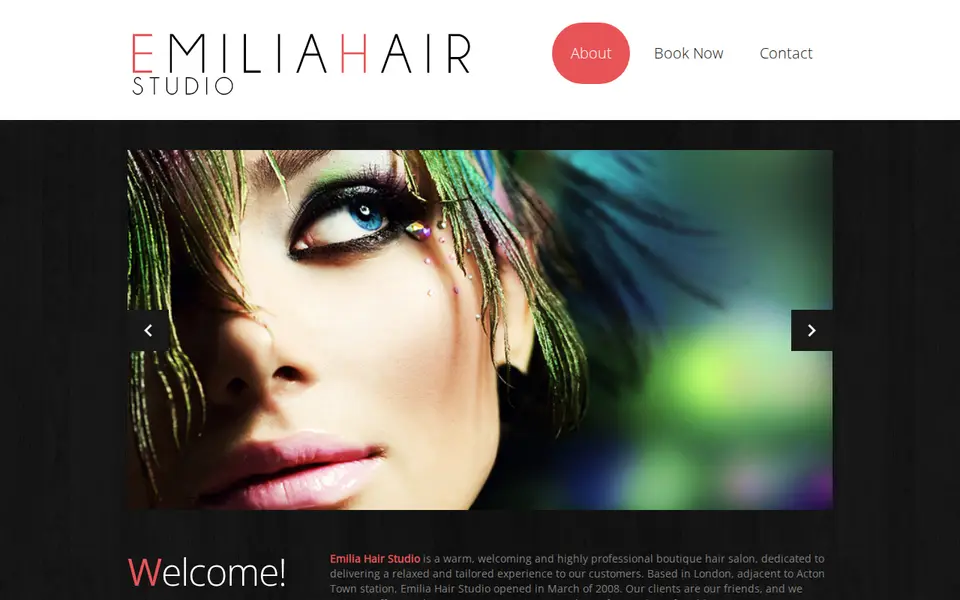 The top of emiliahairstudio.co.uk