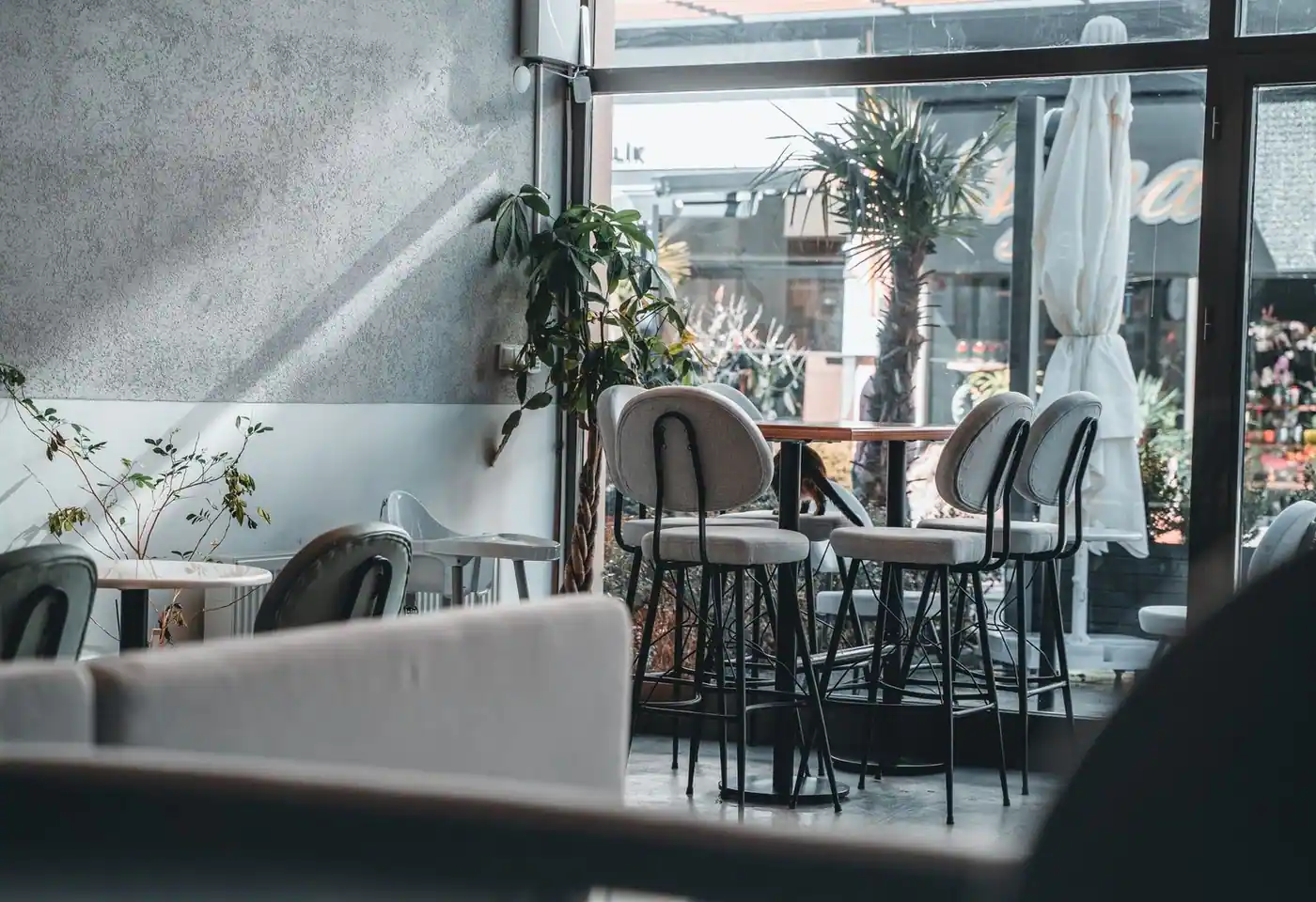 Inviting café interior featuring modern design, natural light, and stylish seating arrangement.