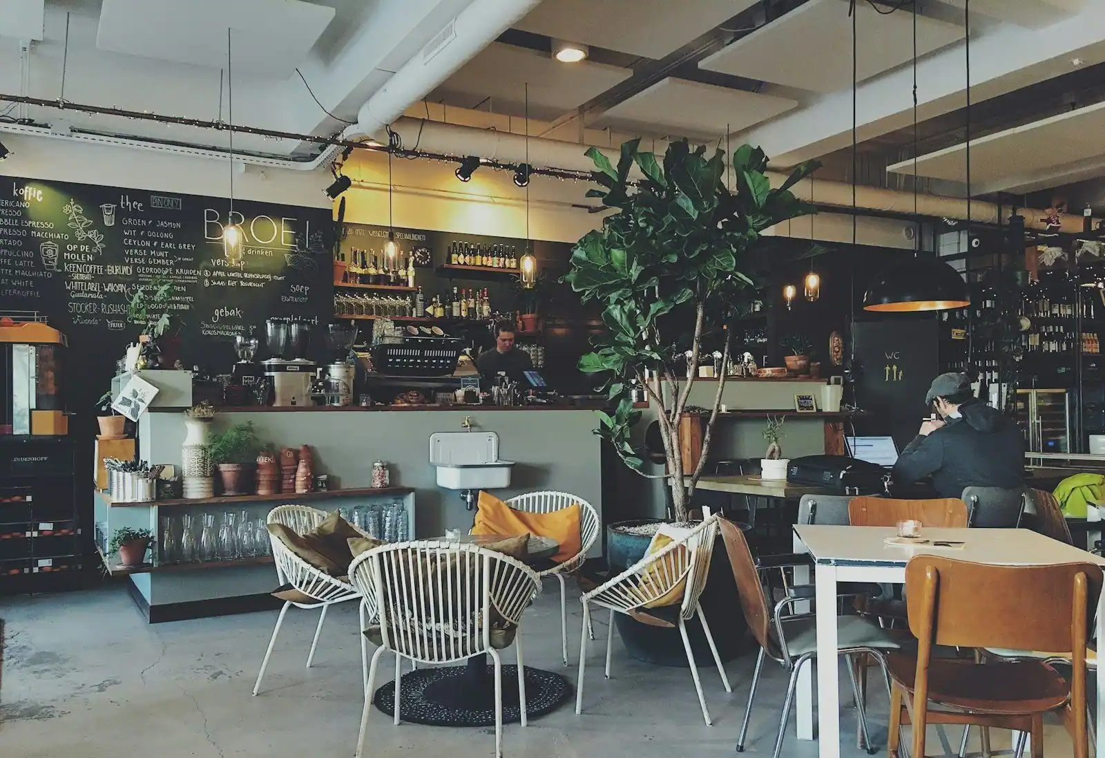 Interior of an industrial-style cafe with a chalkboard menu wall, coffee bar, tall fiddle-leaf fig tree, white wire chai