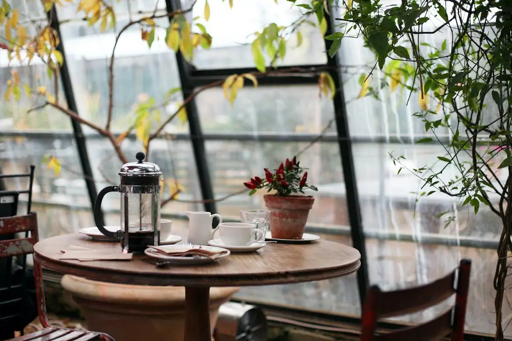 A rustic round wooden table with a French press, cups, and a potted chili plant set against a greenhouse-style glass wal