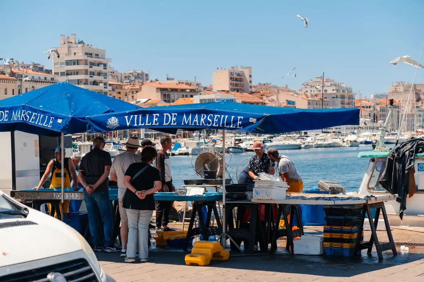 Fresh fish laid out at the fish market by the Old Port in Marseille