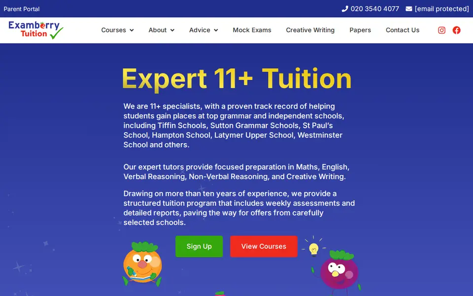 The top of examberry.com