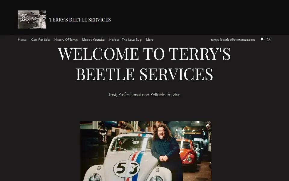 The top of terrysbeetles.wixsite.com